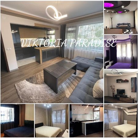 Viktoria Paradise 代温 外观 照片