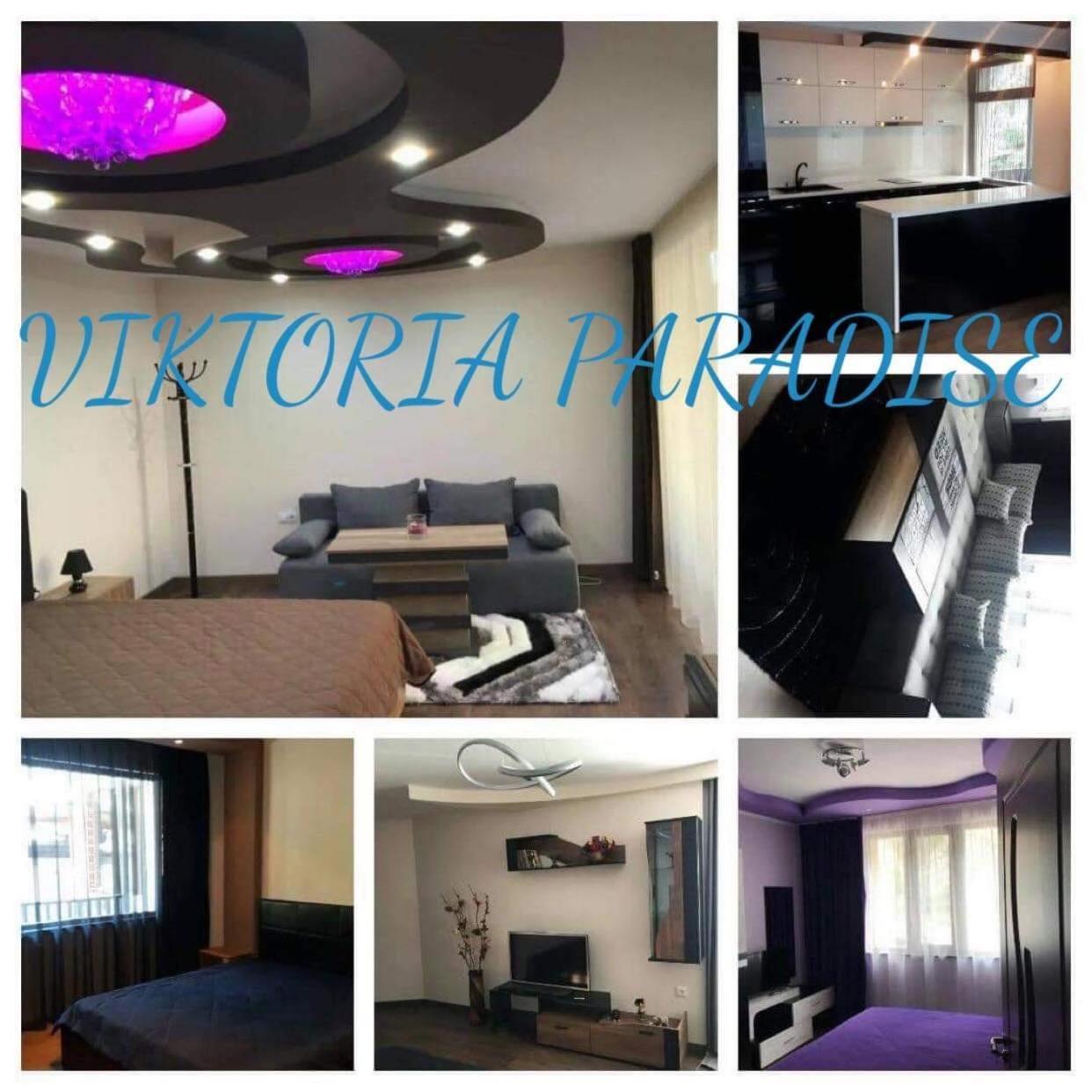 Viktoria Paradise 代温 外观 照片